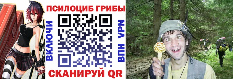darknet состав Санкт-Петербург Галлюциногенные грибы прущие грибы